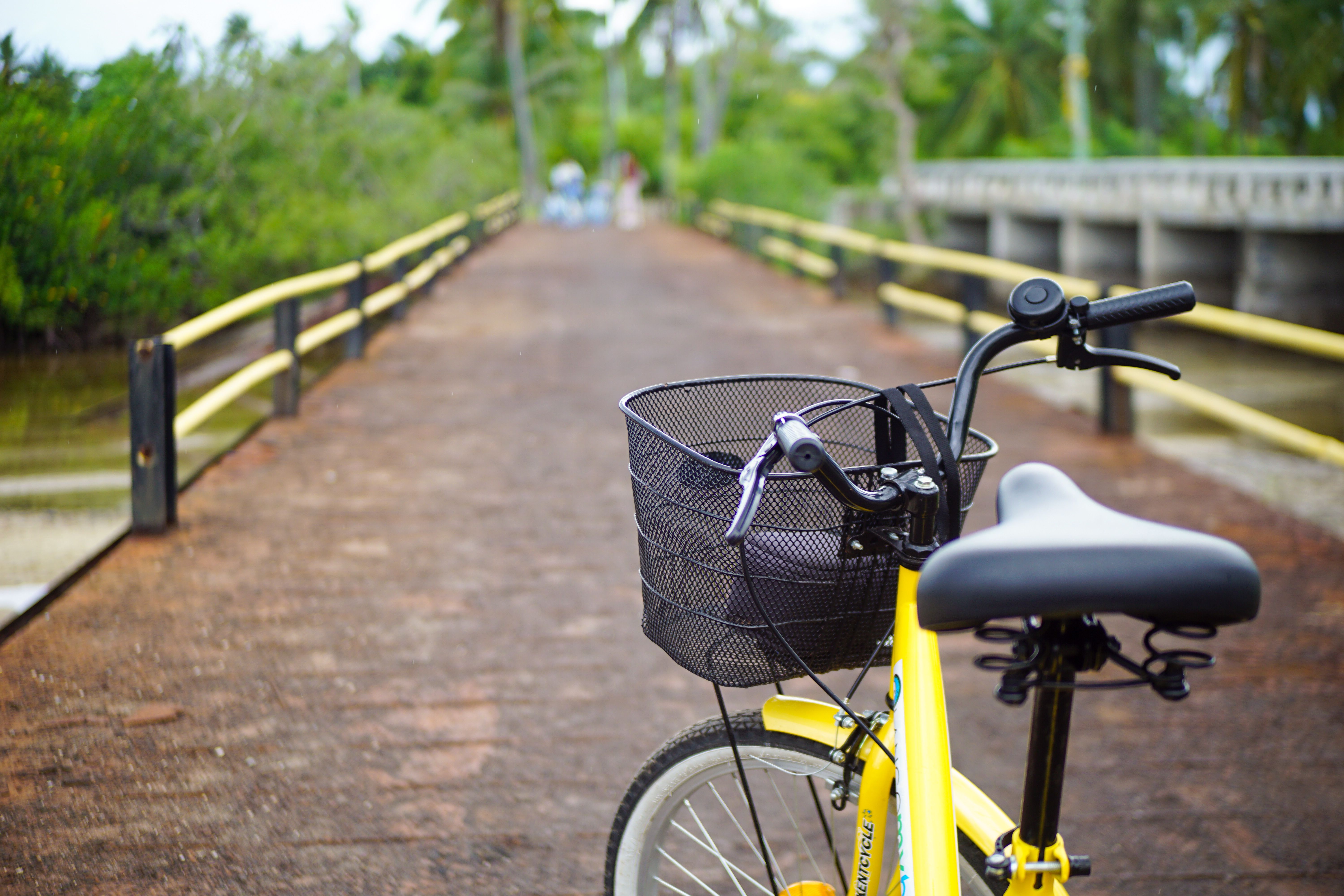 Cycling on the Sunshine Coast: Trails, Paths and Bike-Friendly Routes