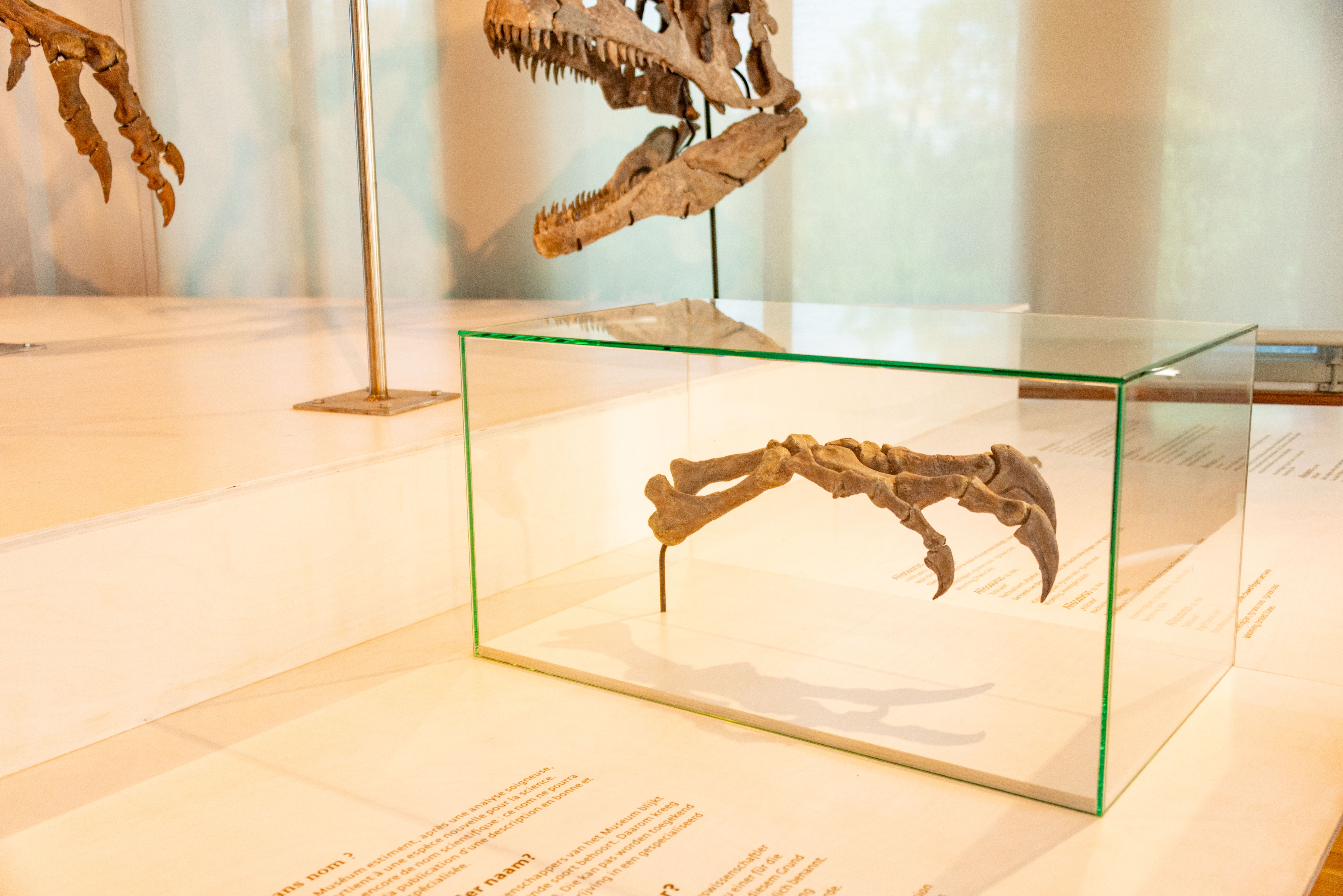 Best Museums in Sunshine Coast: History, Science and Art Collections