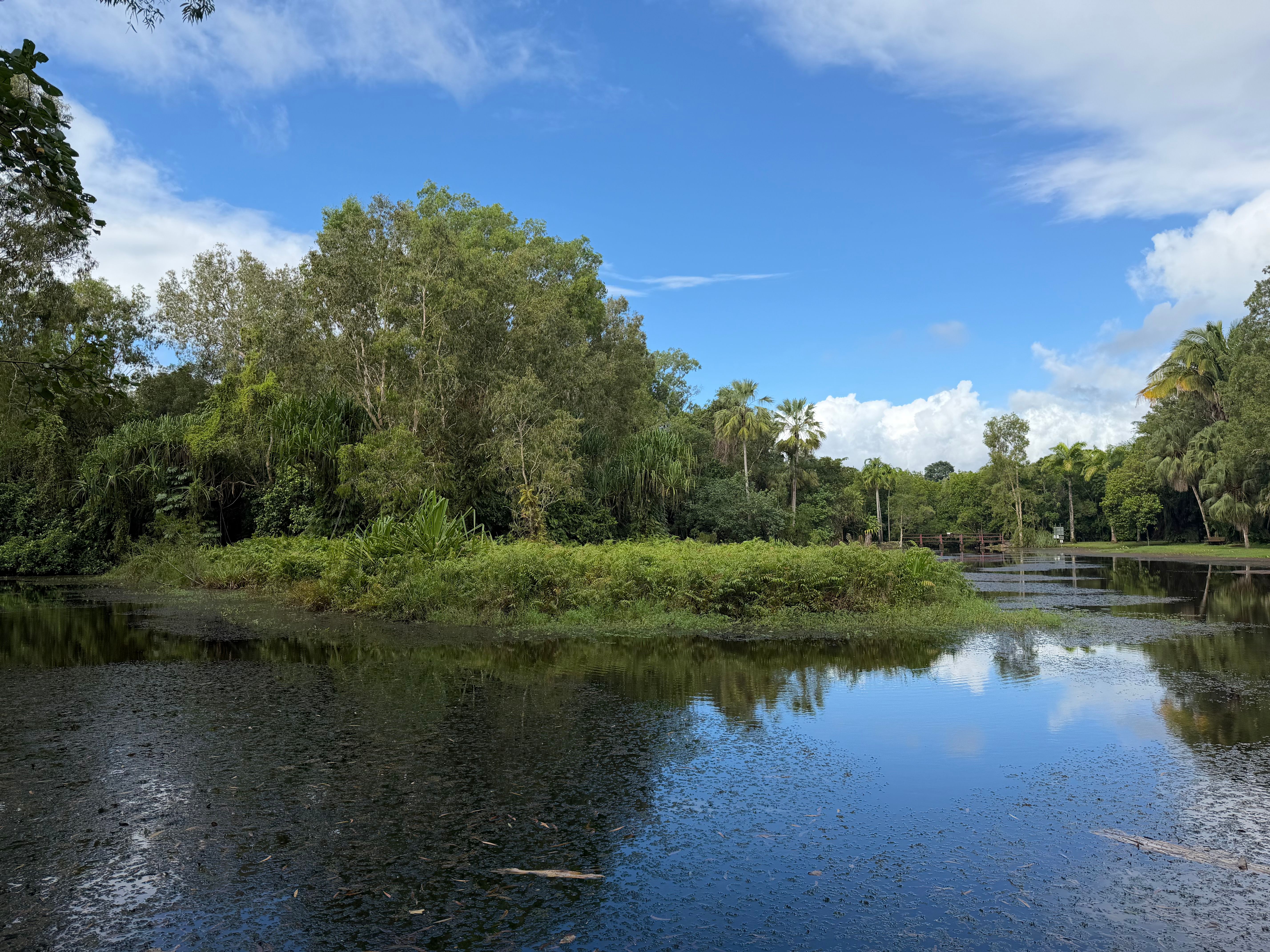 Best Parks in Sunshine Coast: Botanic Gardens, Reserves and Local Ovals