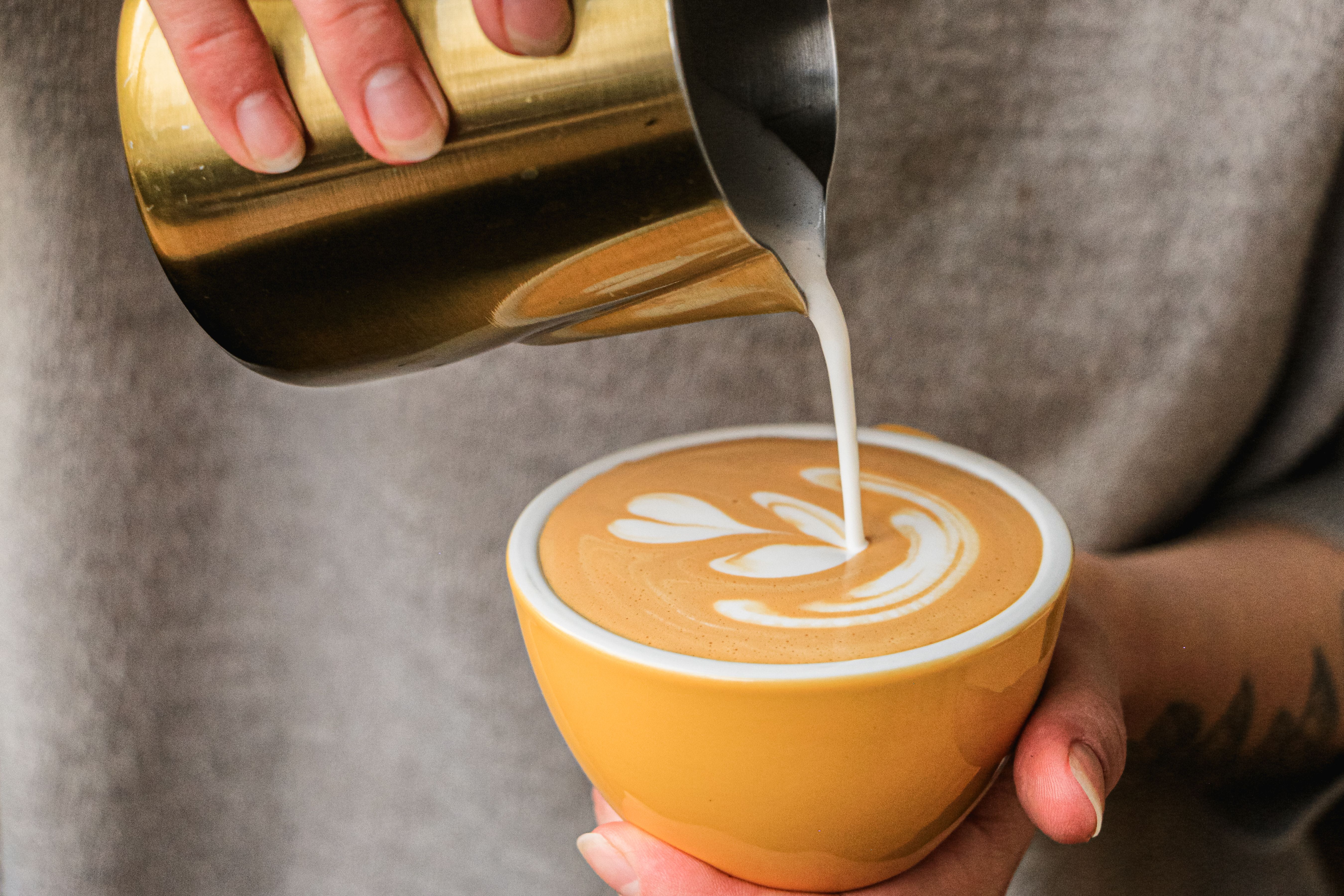 Best Coffee on the Sunshine Coast: Specialty Cafes, Noosa and Hinterland Roasters