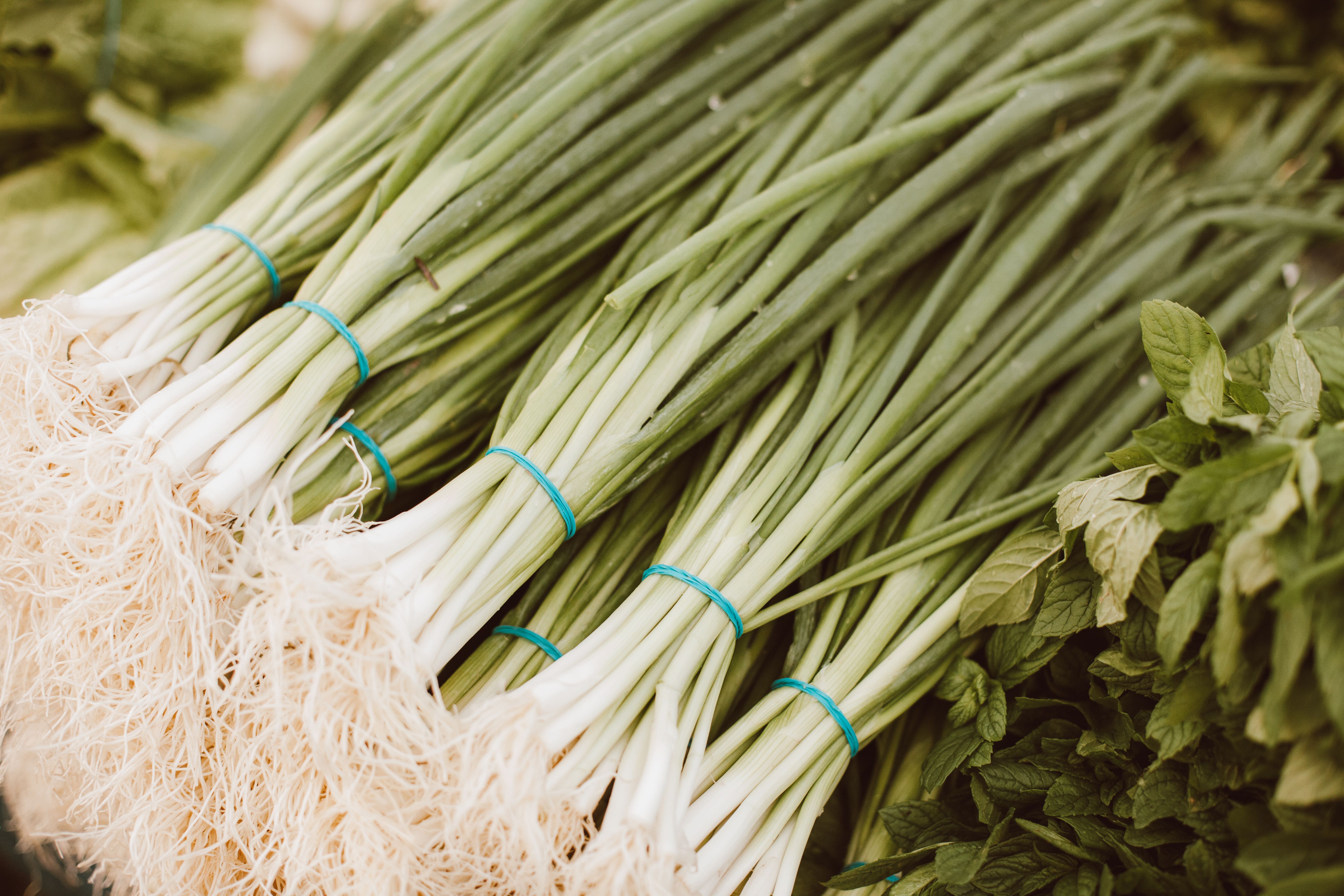 Best Markets on the Sunshine Coast: Farmers, Artisan and Weekend Stalls