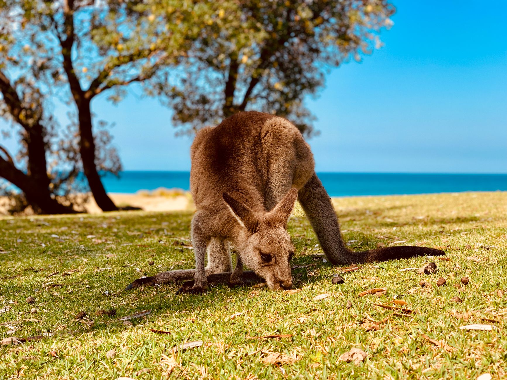 Noosa Guide: Hastings Street, Main Beach and the National Park
