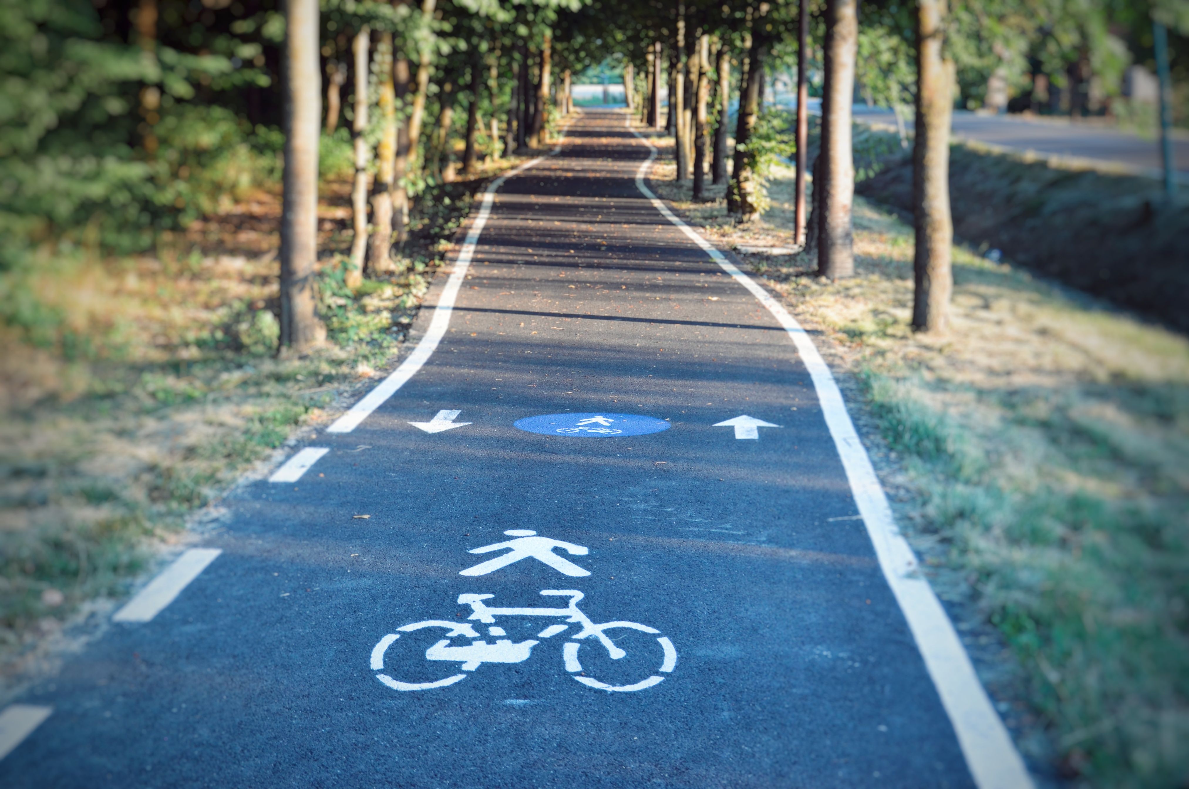 Best Cycling Routes in Sunshine Coast: Shared Paths, Trails and Road Rides