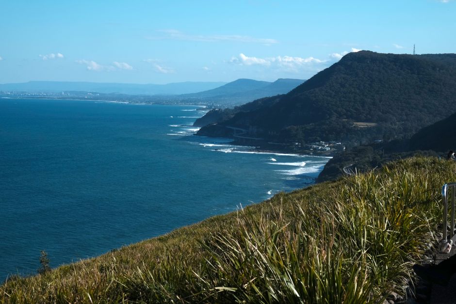Forest Bathing Blooms: How the Nature Immersion Trend is Taking Hold on the Sunshine Coast